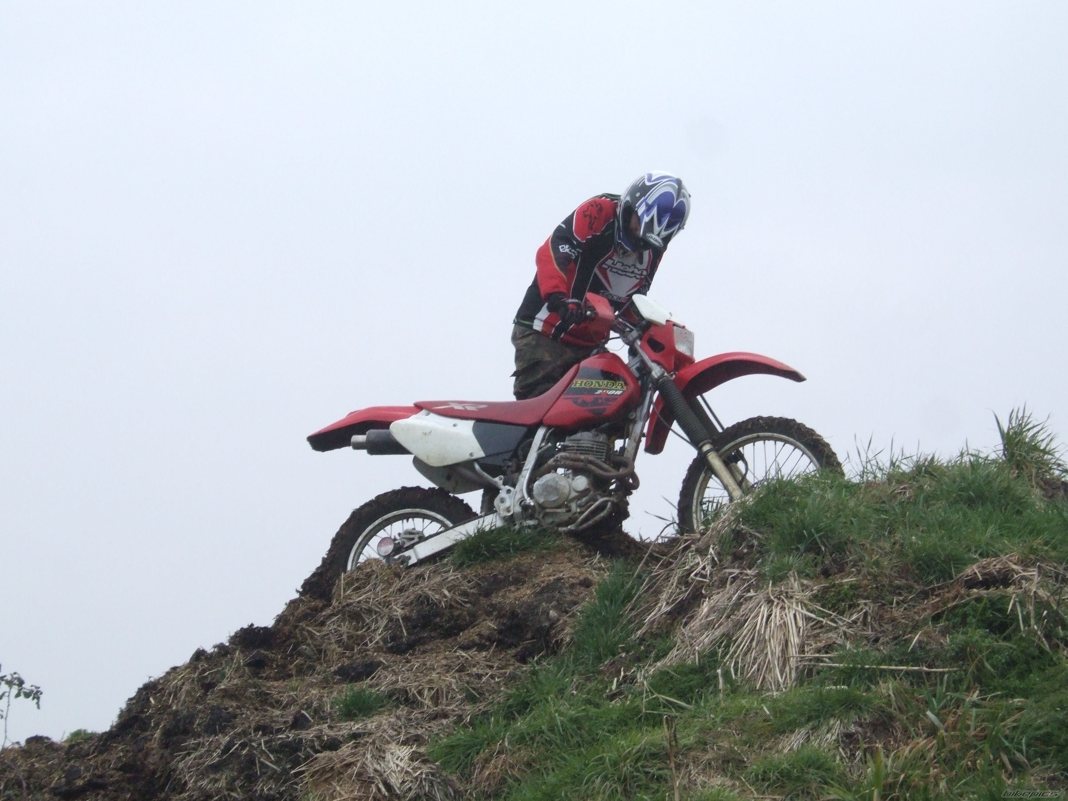 Photo 1199940