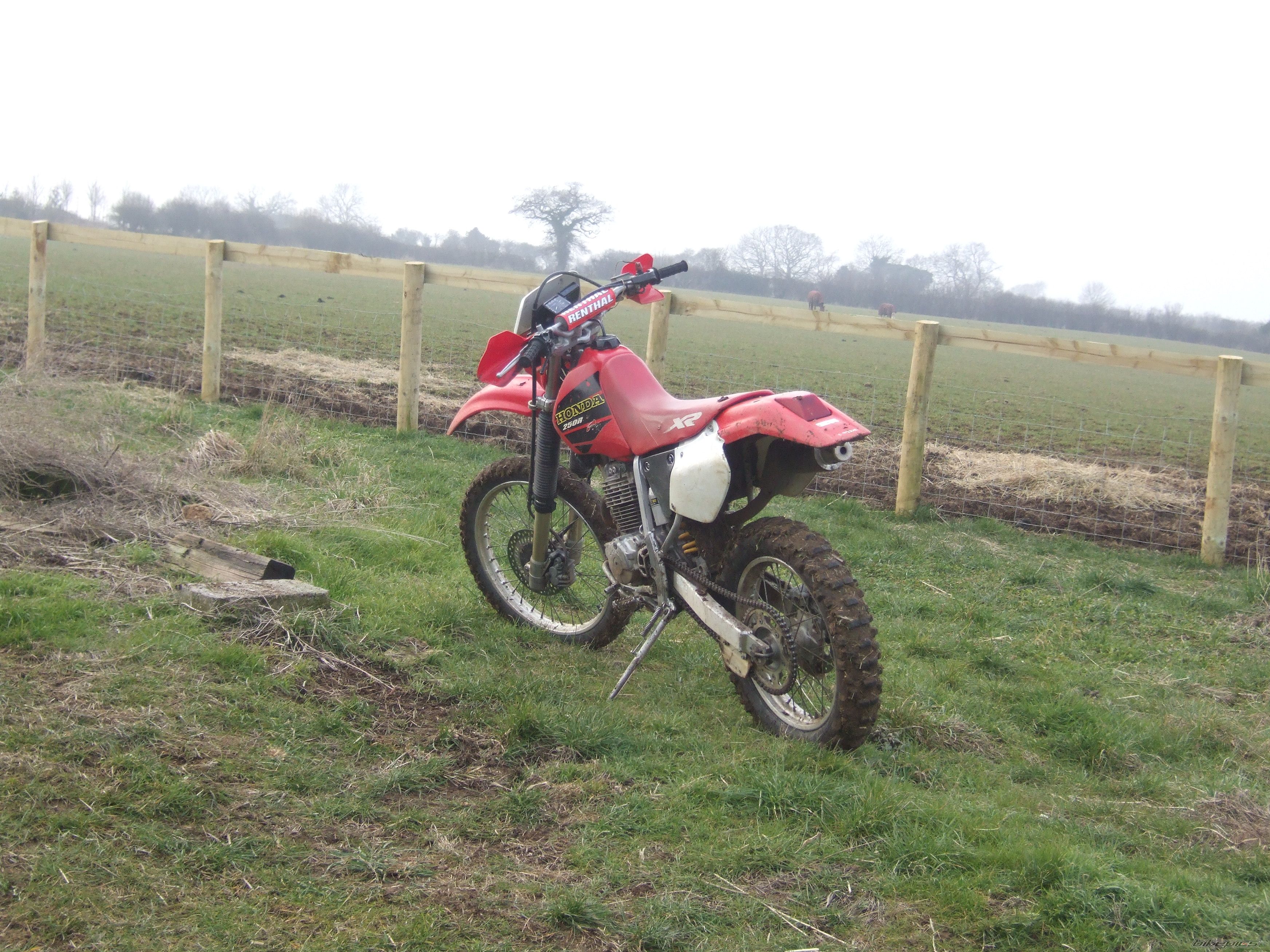 Photo 1199942