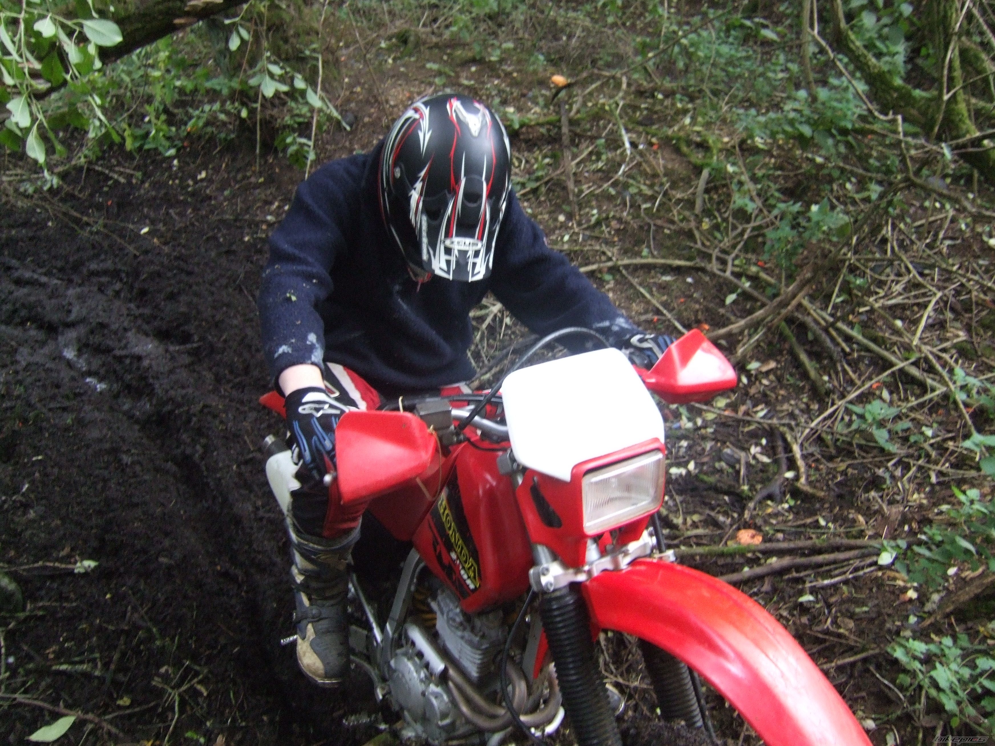 Photo 1199964