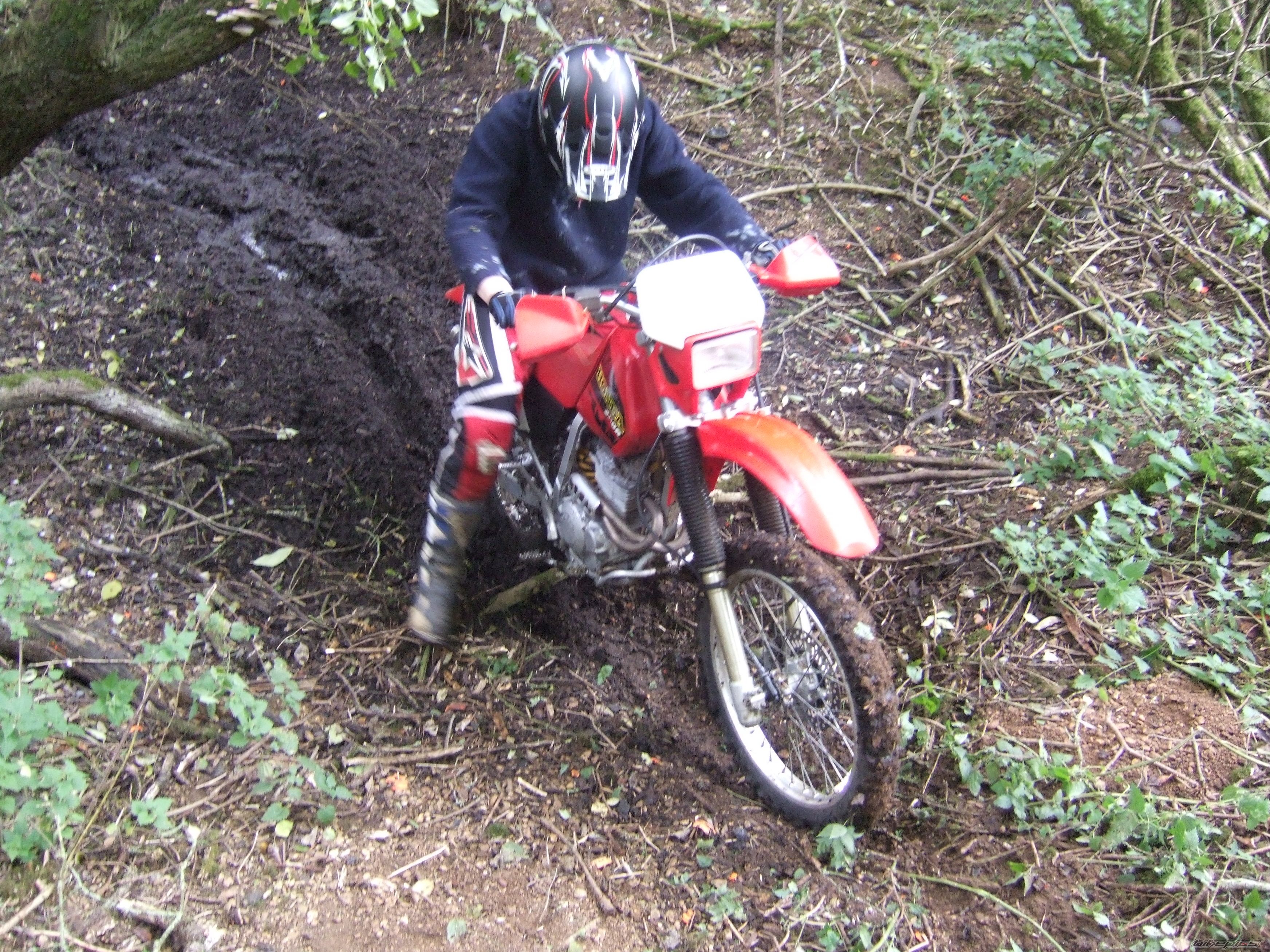 Photo 1199968