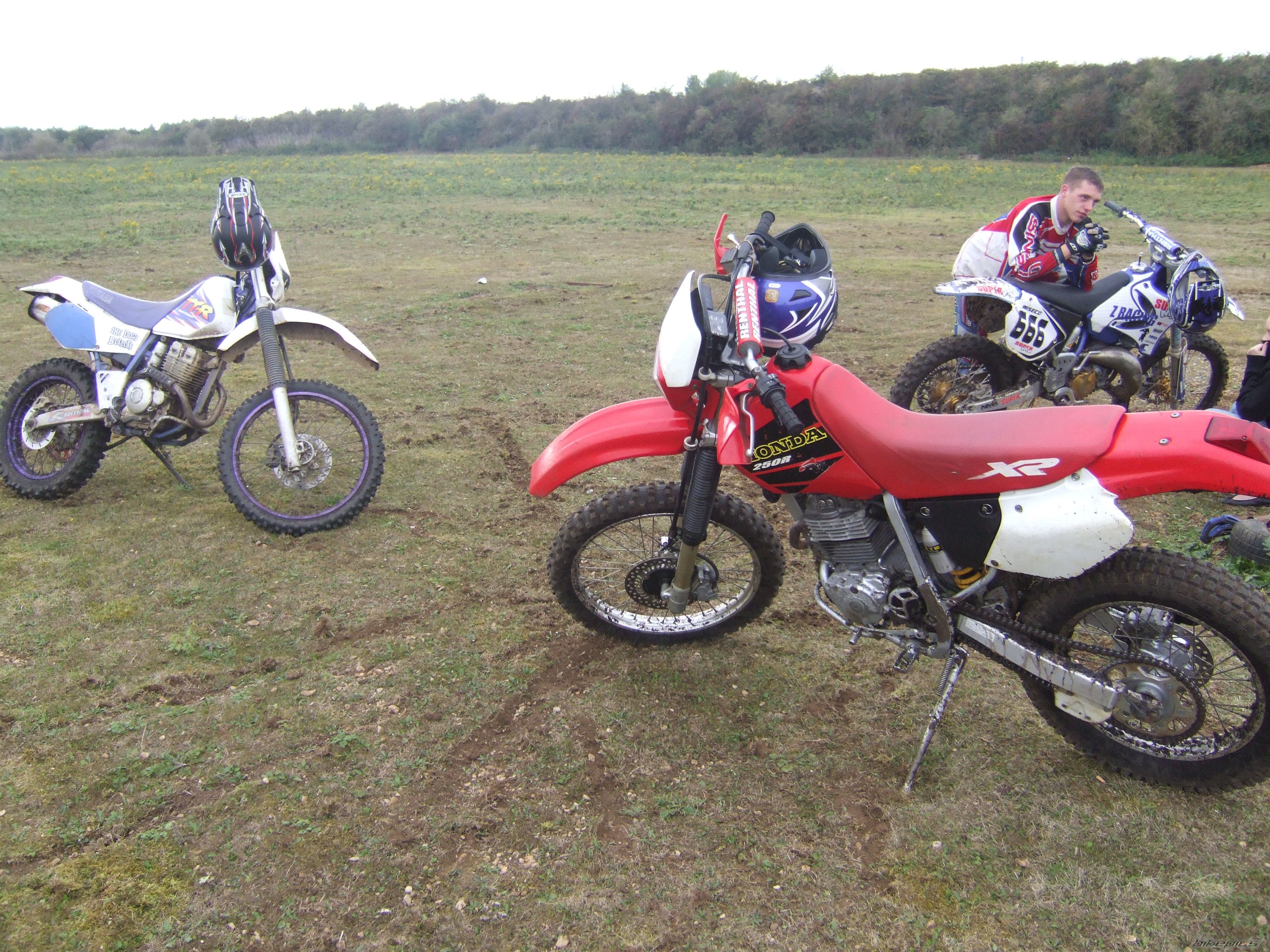 Photo 1199971