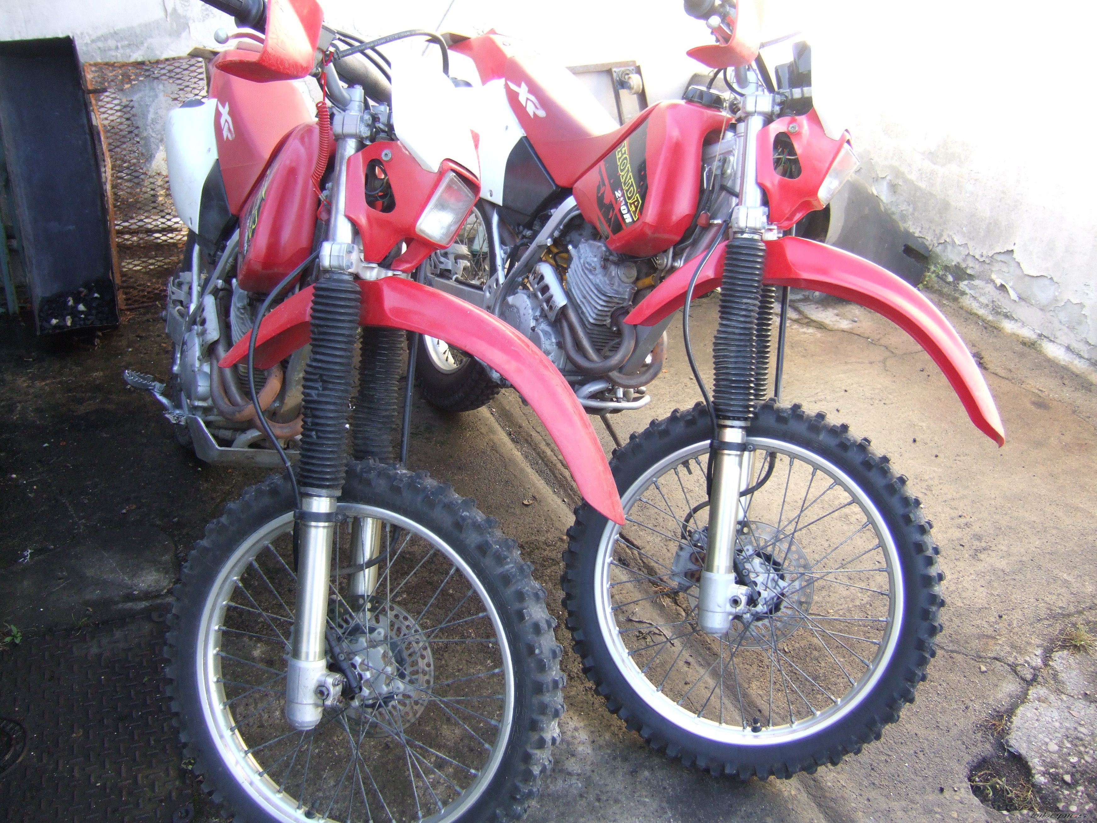 Photo 1199987