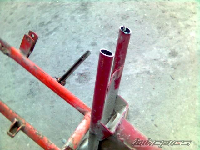 Photo 1200082