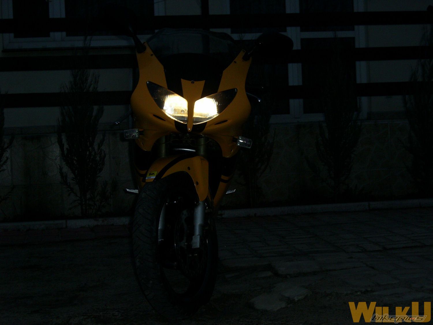 Photo 1200091