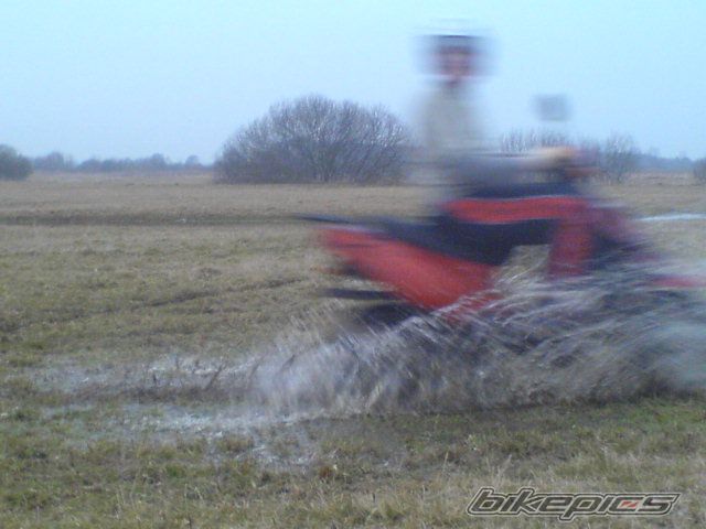 Photo 1200125