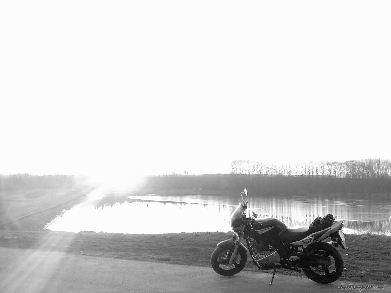 Bike Photo 1200291