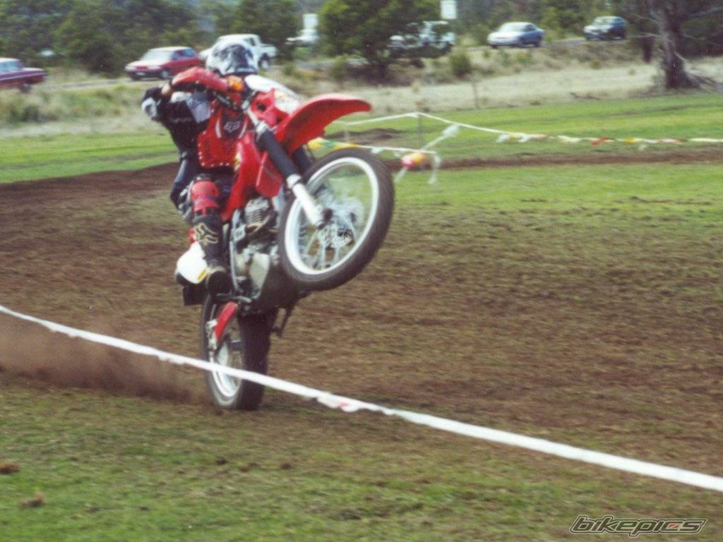 Photo 12005