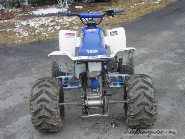 Photo 120068
