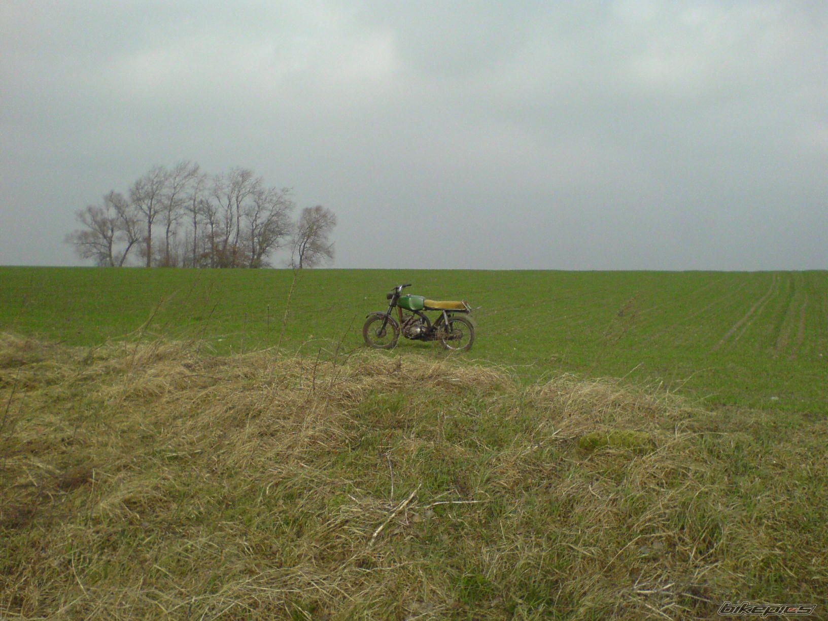 Photo 1200716