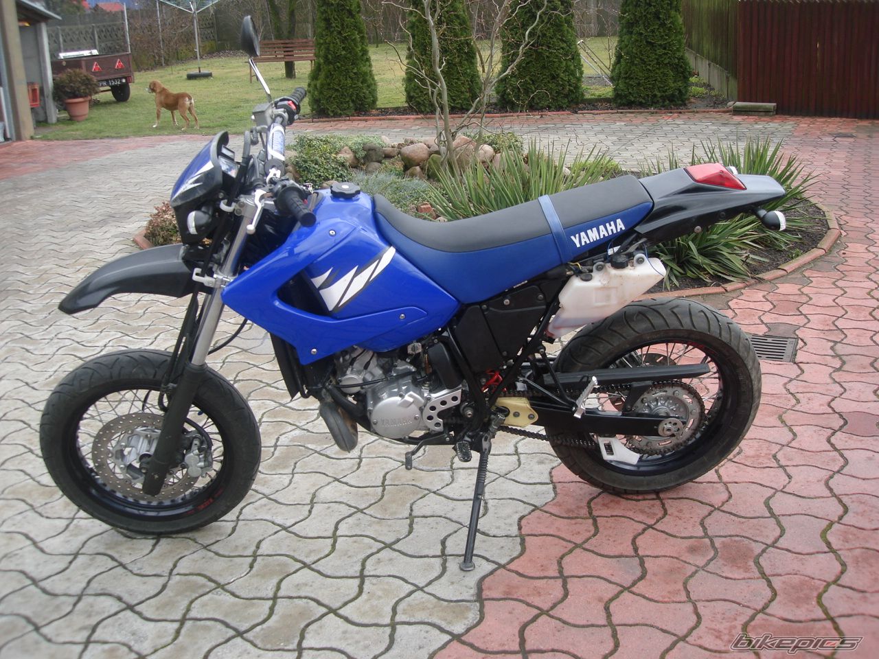 Photo 1200879