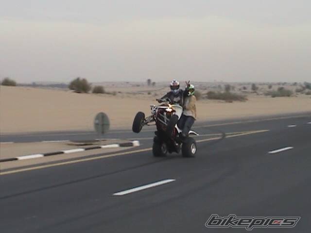 Photo 120093