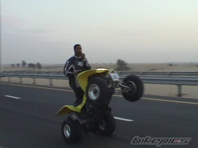 Photo 120098
