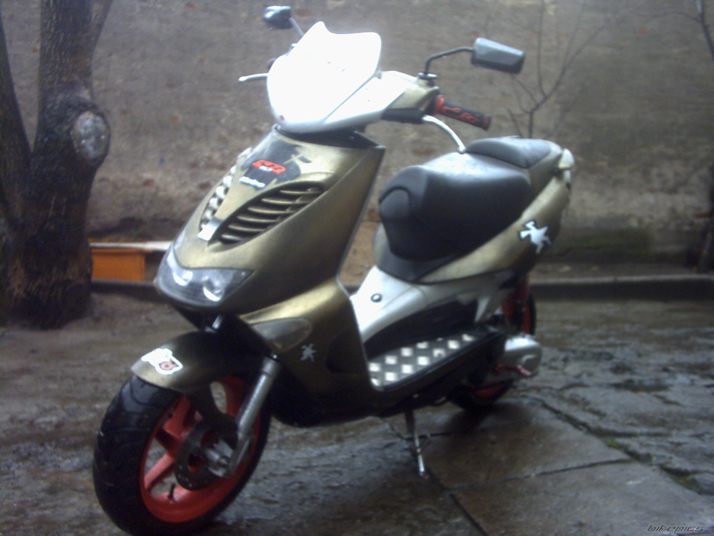 Photo 1201020