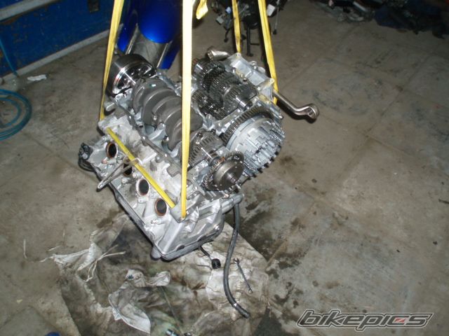 Photo 1201133
