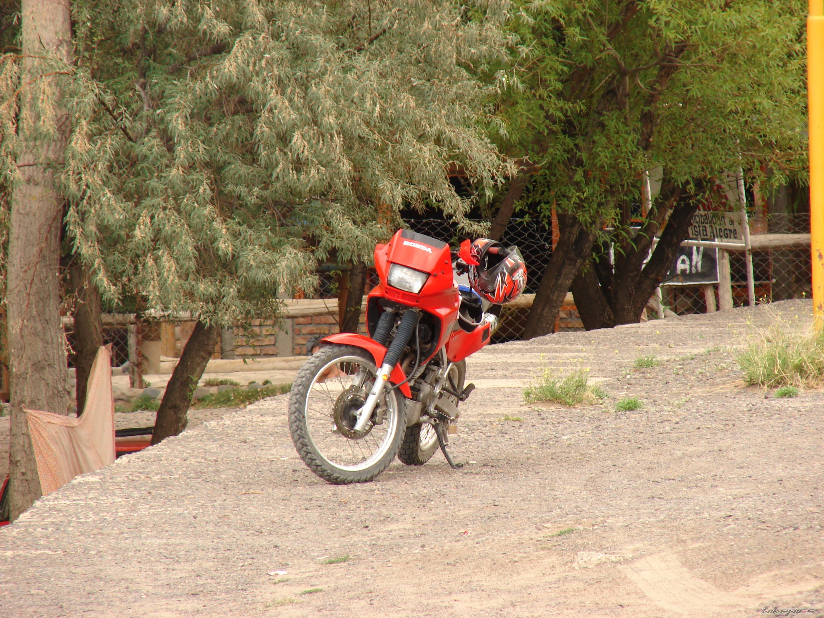 Photo 1201279