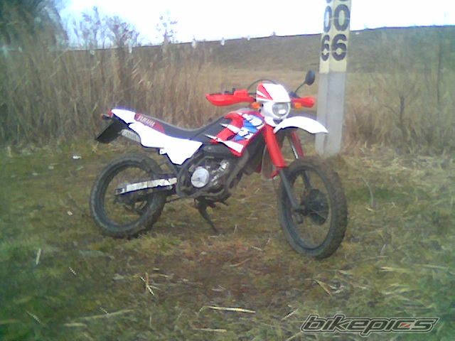 Photo 1201465