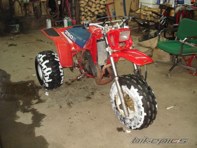 Photo 1201481