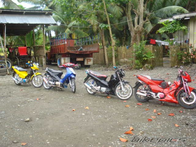 Photo 1201576