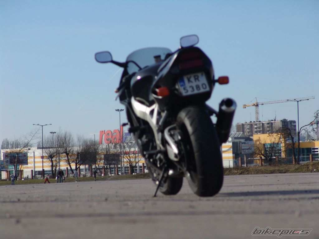 Photo 1202062