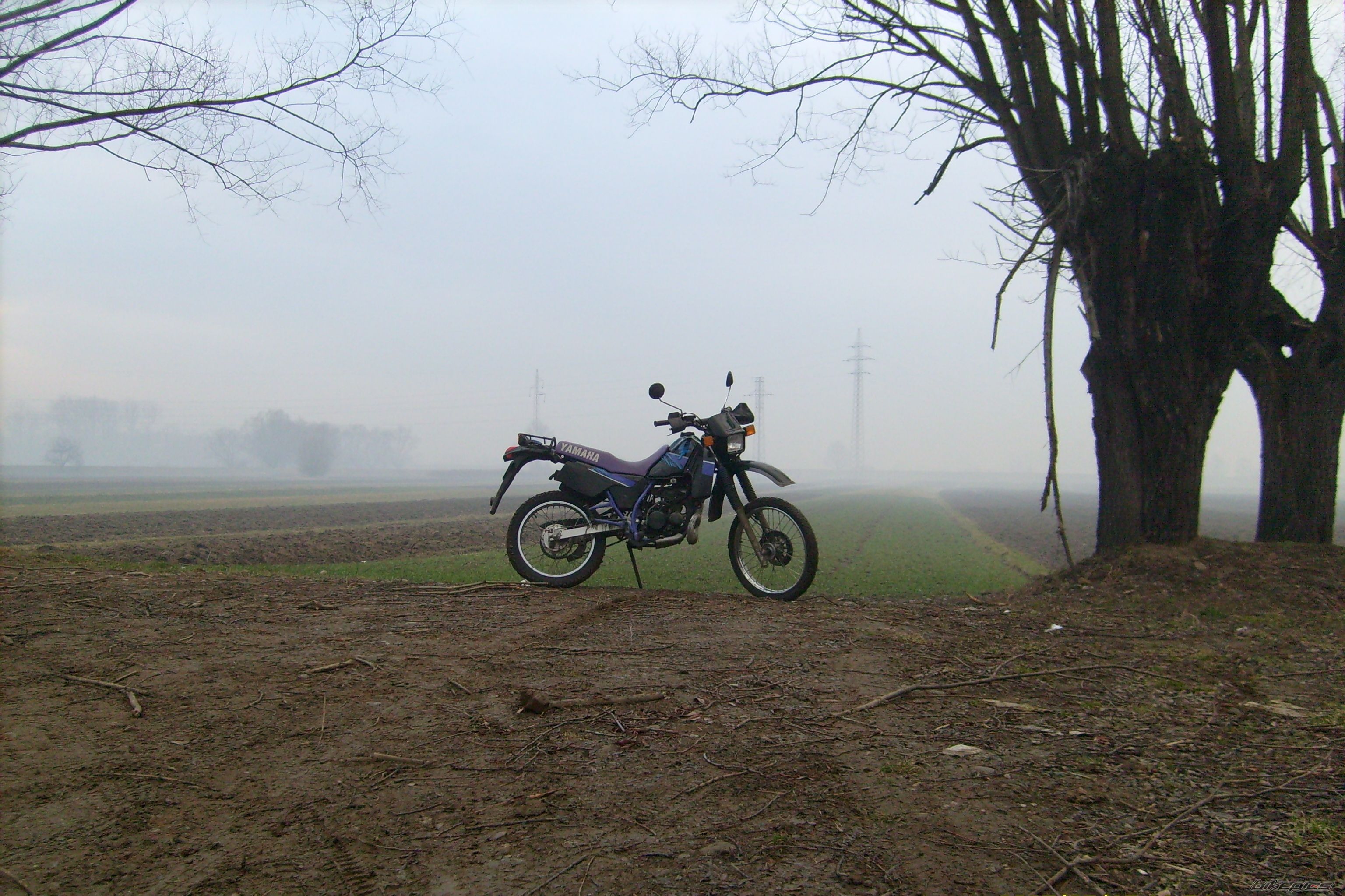 Photo 1202088