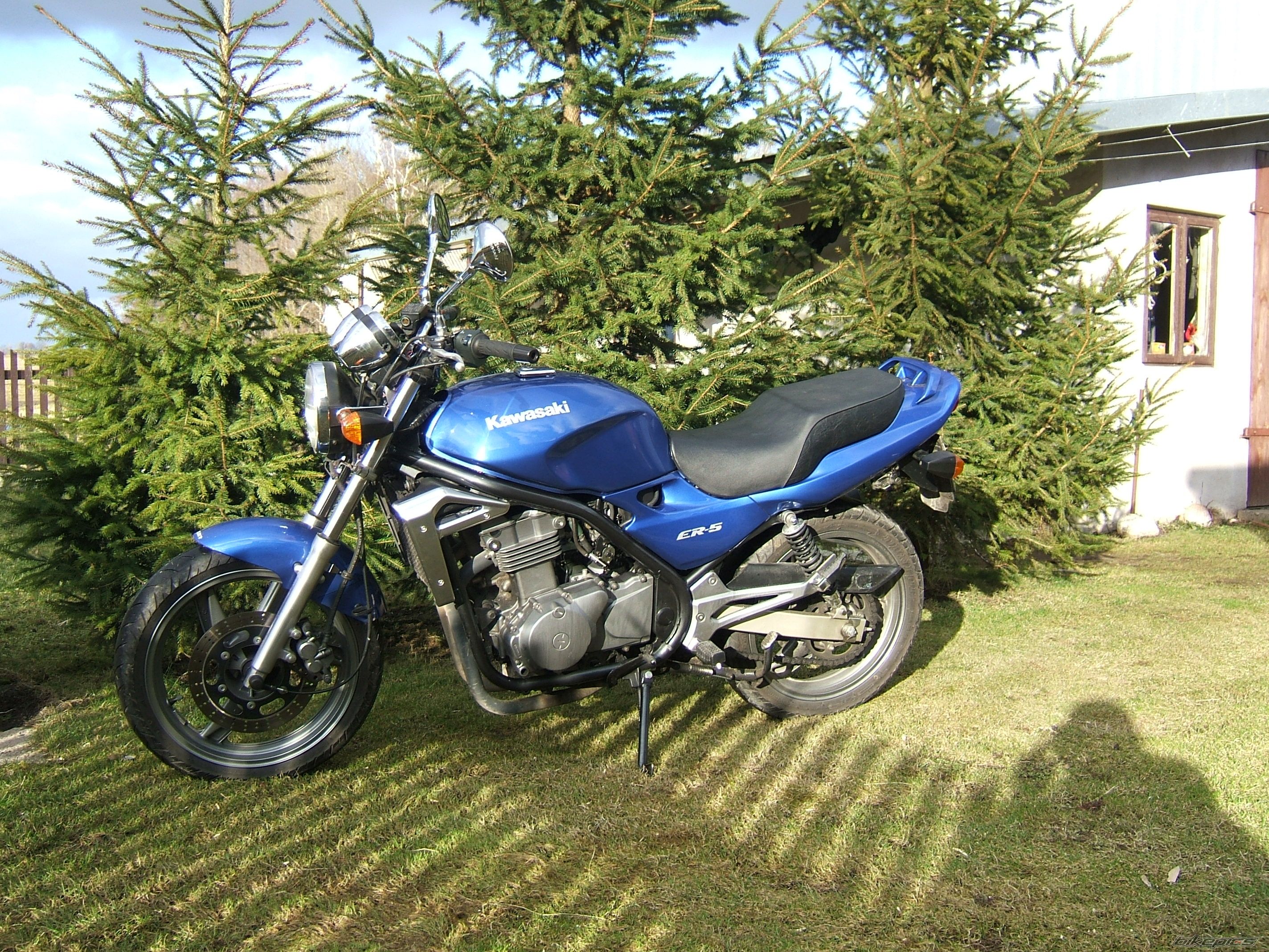 Photo 1202105