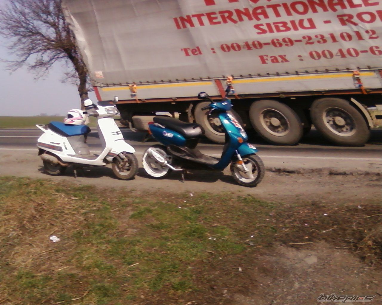 Photo 1202147