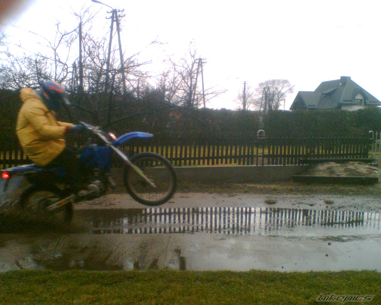 Photo 1202167