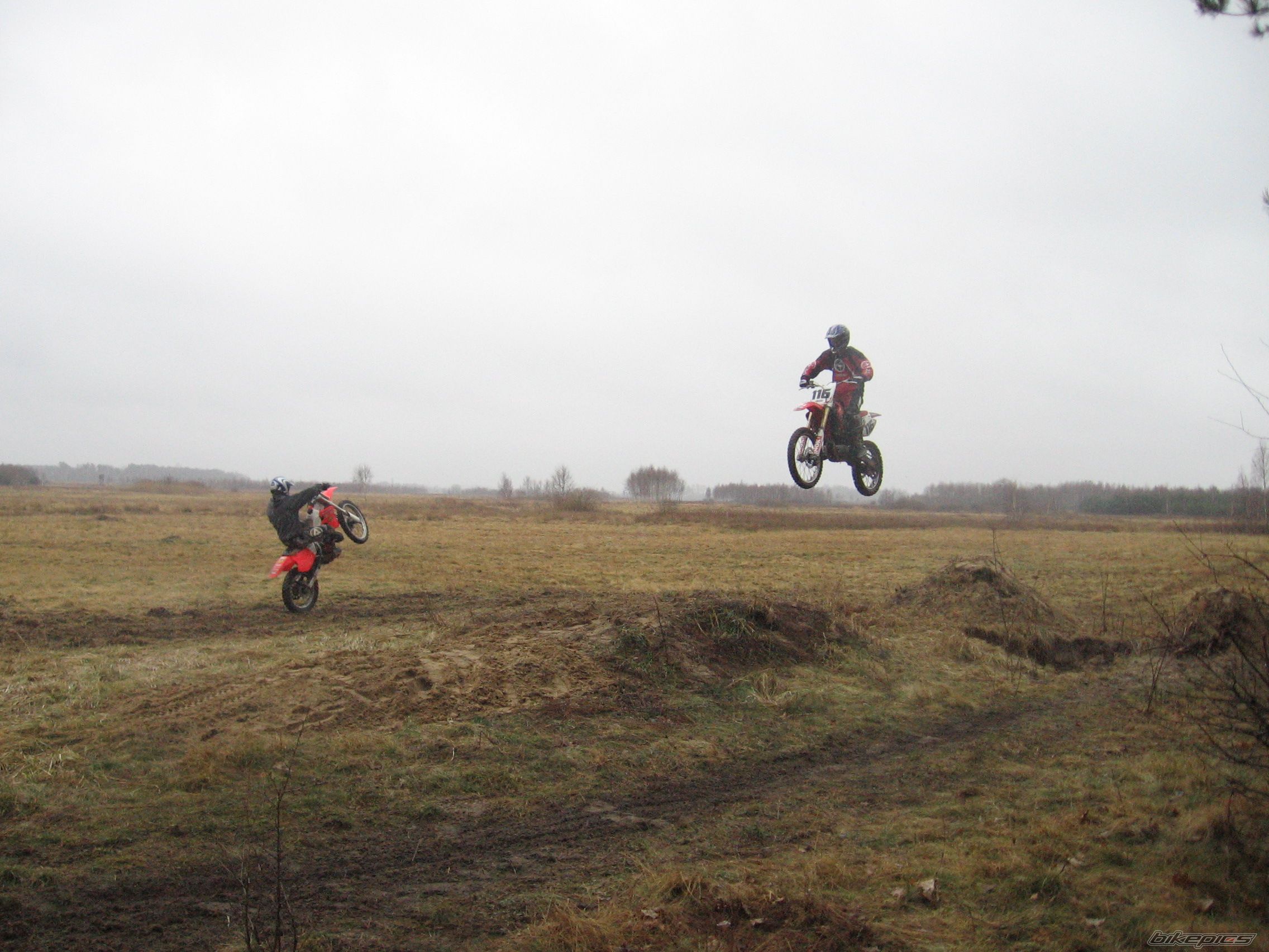 Photo 1202191