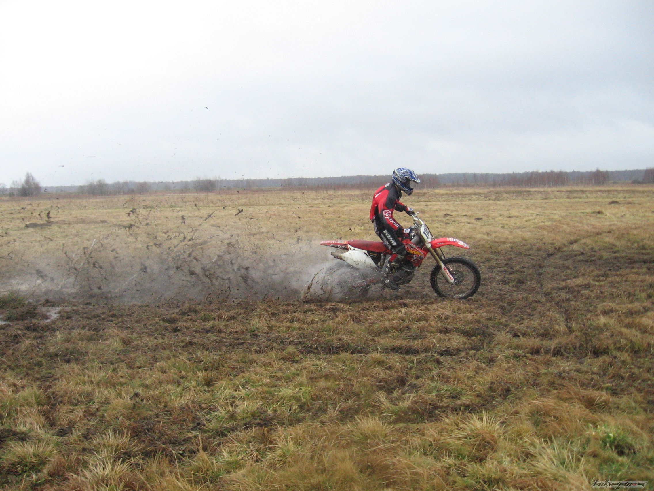 Photo 1202221
