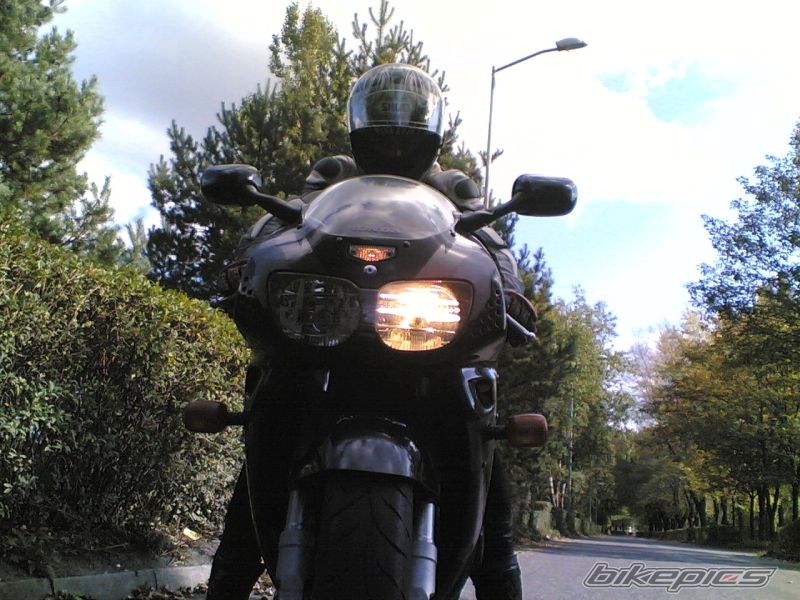 Photo 1202226