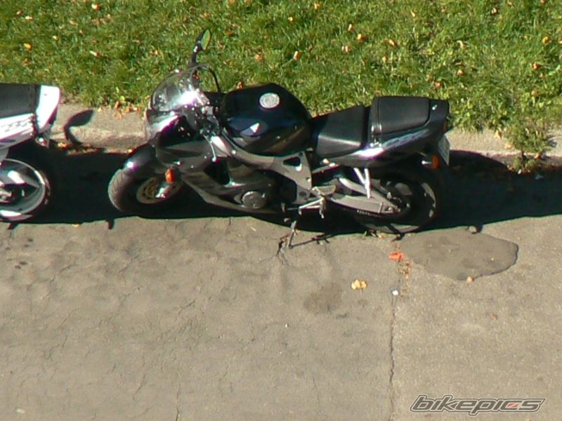 Photo 1202227