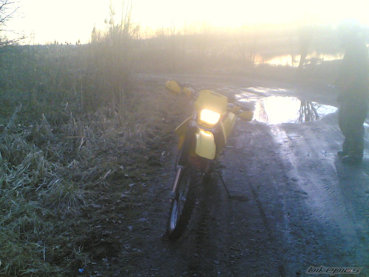 Photo 1202238