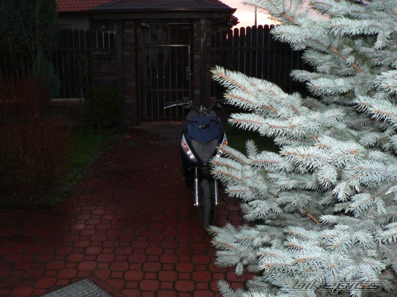 Photo 1202257