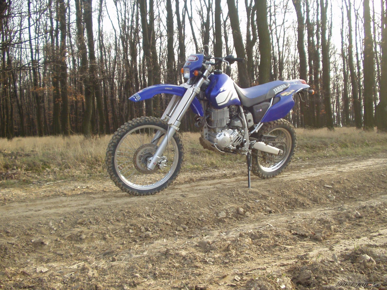 Photo 1202265
