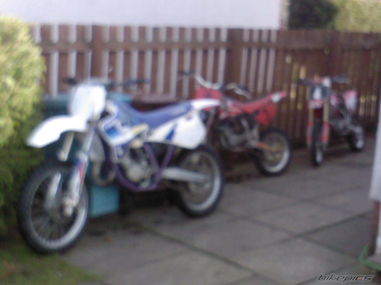 Photo 1202266