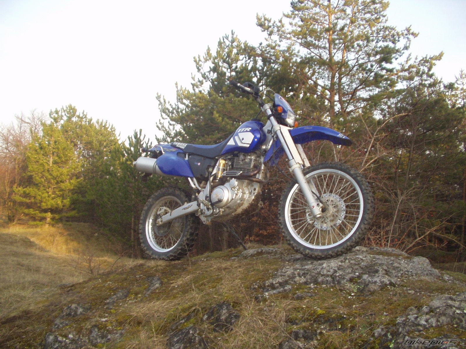 Photo 1202270