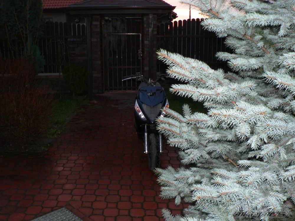 Photo 1202303