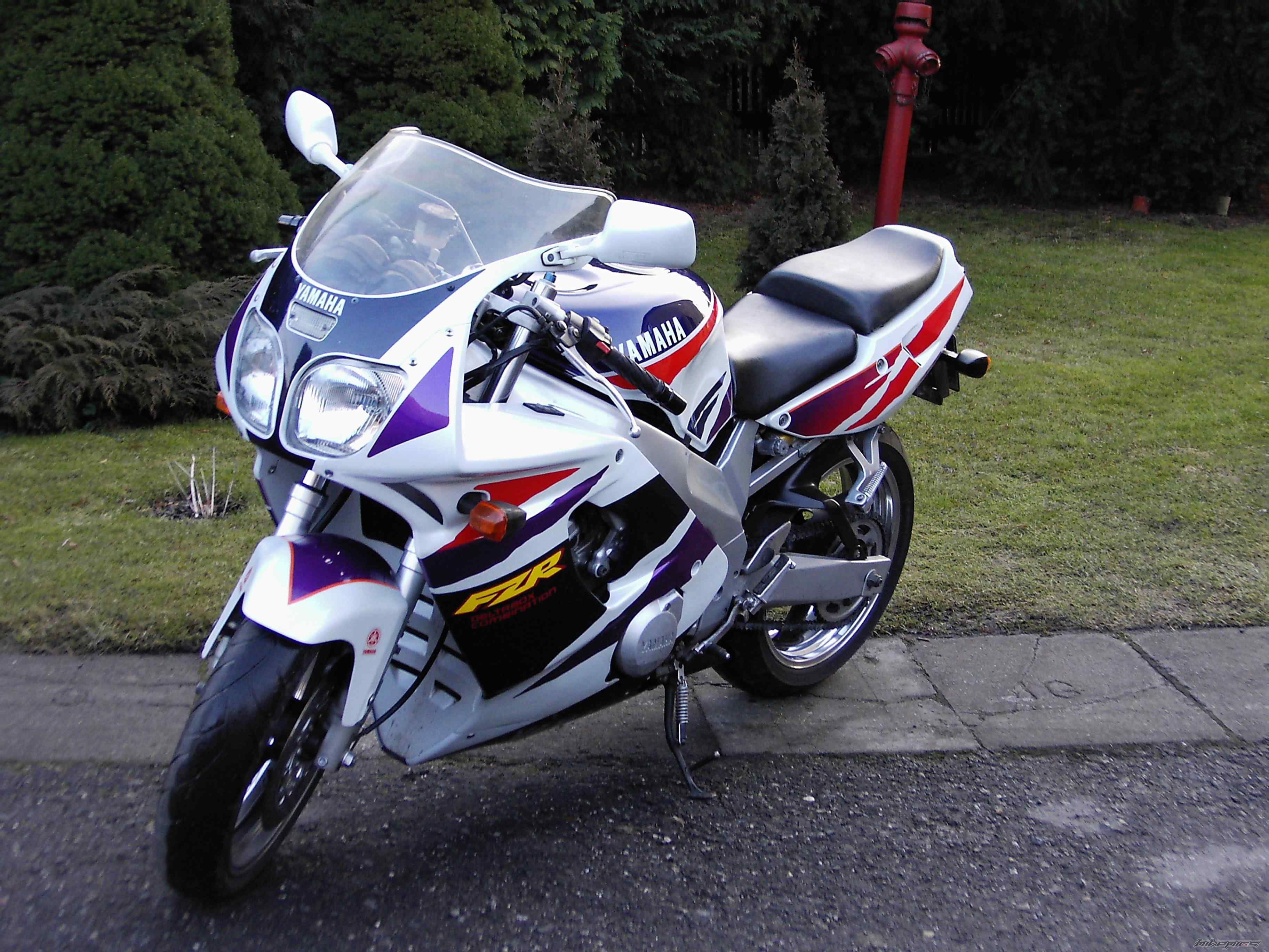 Photo 1202405