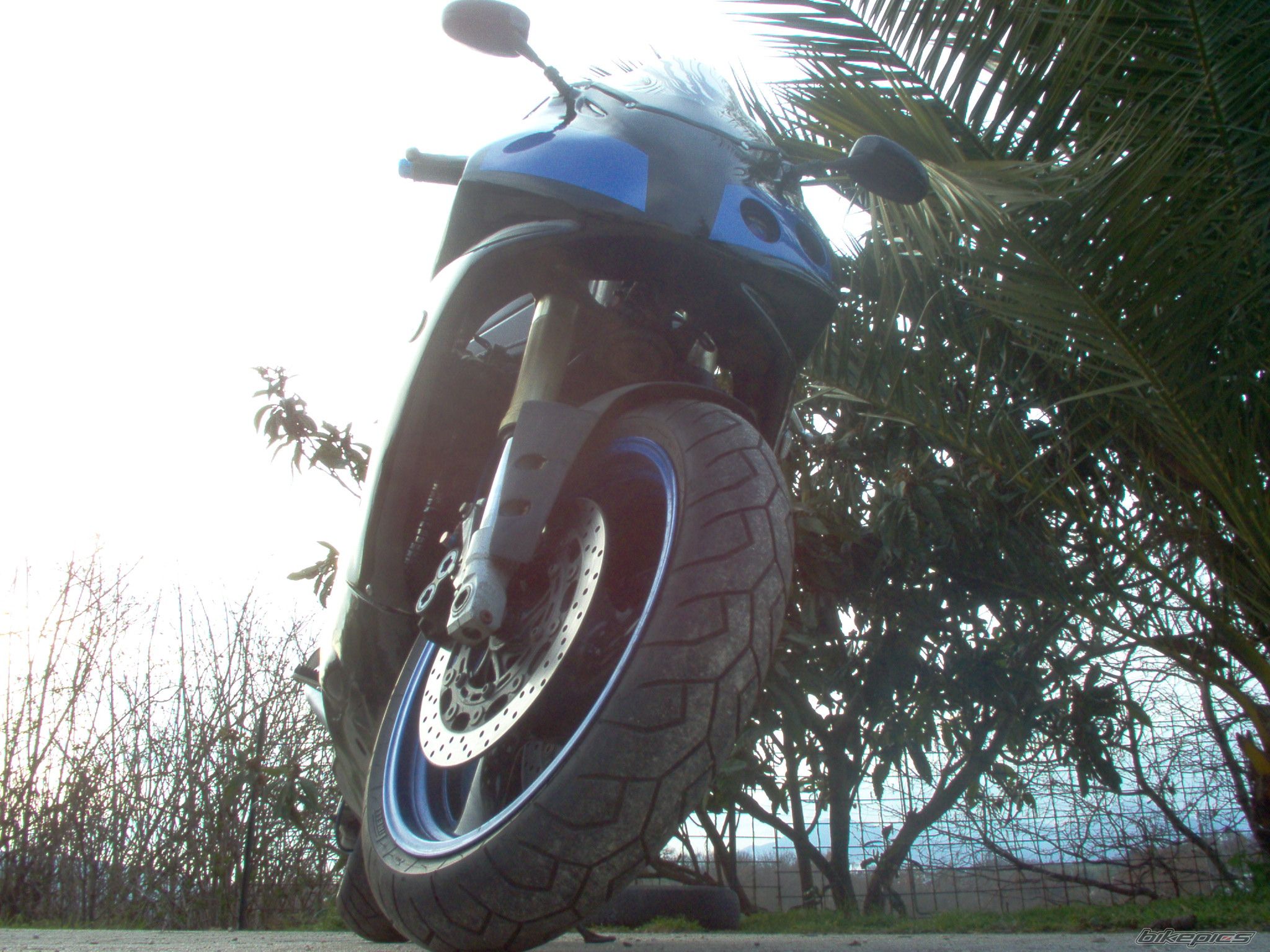Bike Photo 1202423
