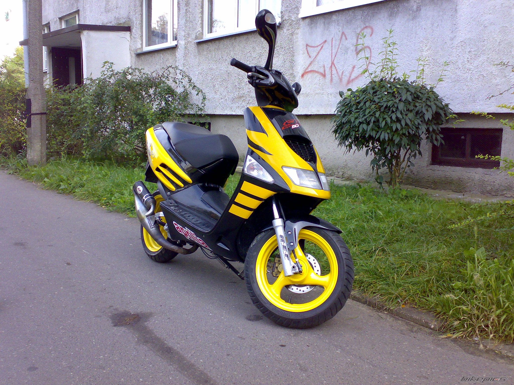 Photo 1202425