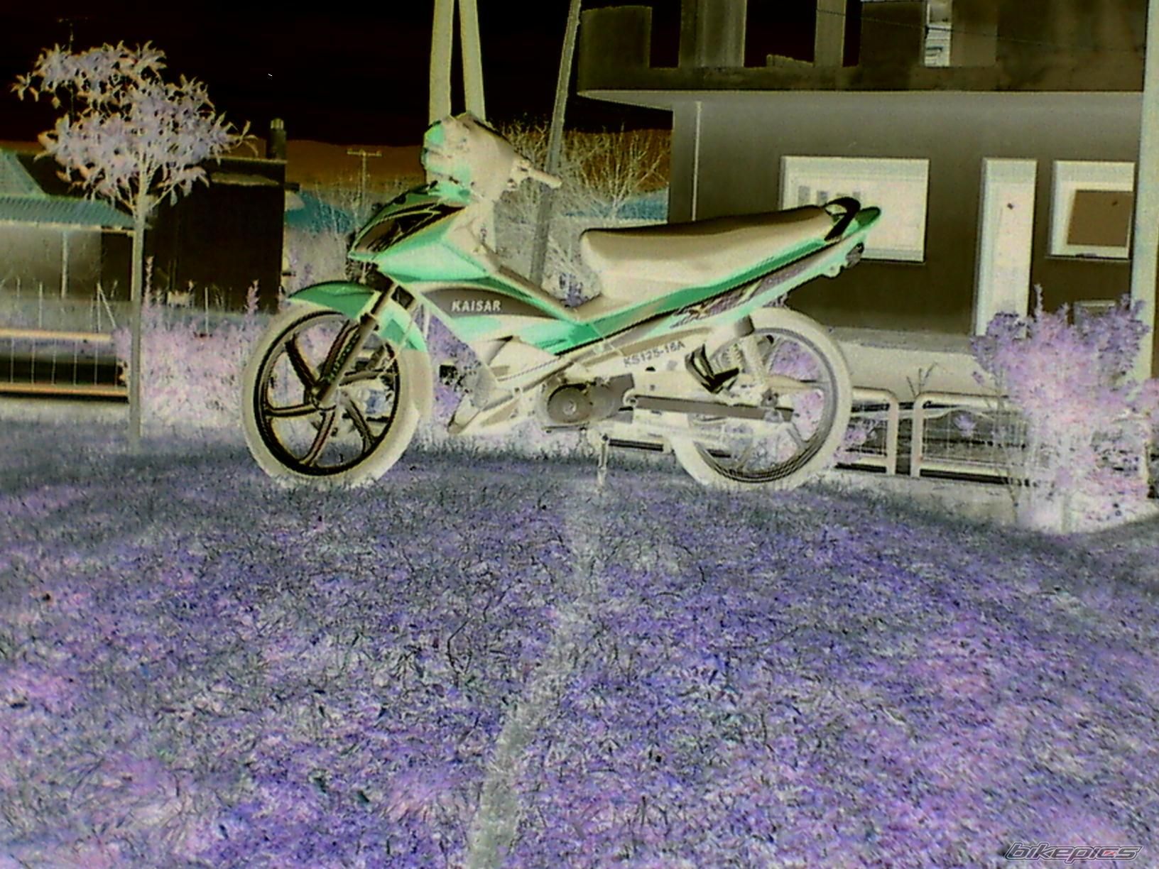 Photo 1202447
