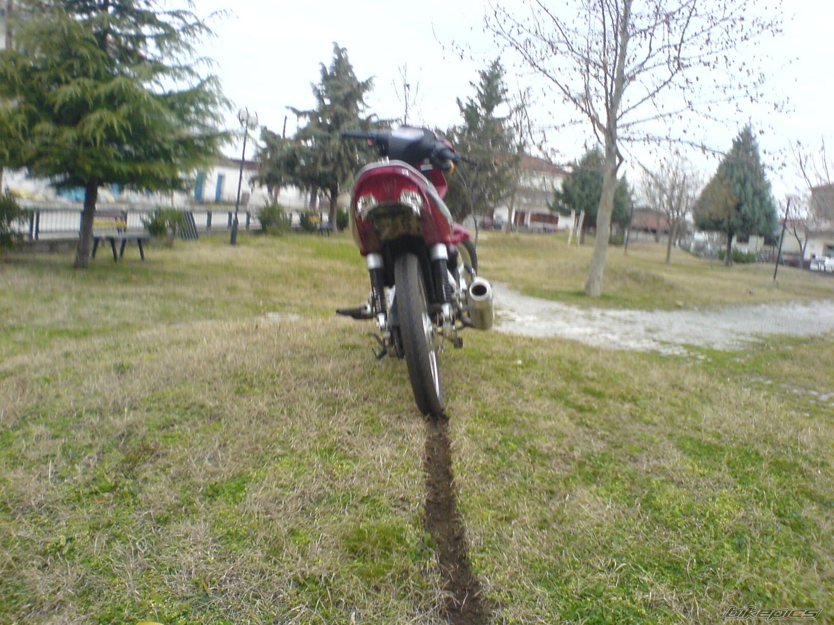 Photo 1202461