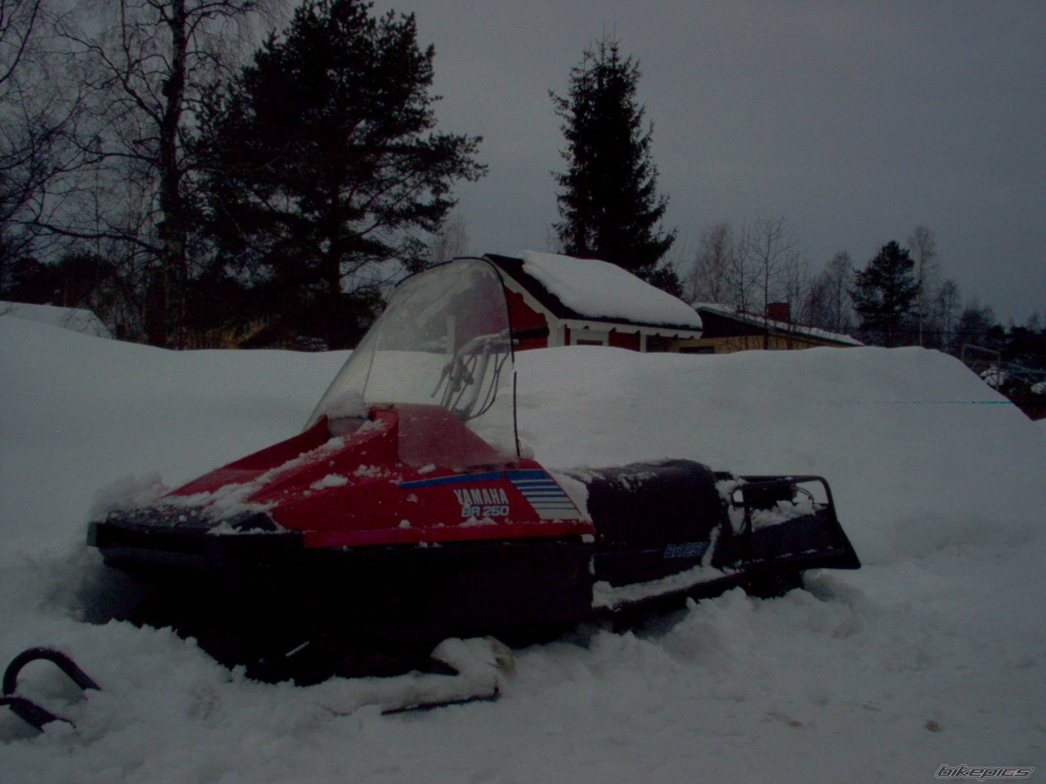 Photo 120251