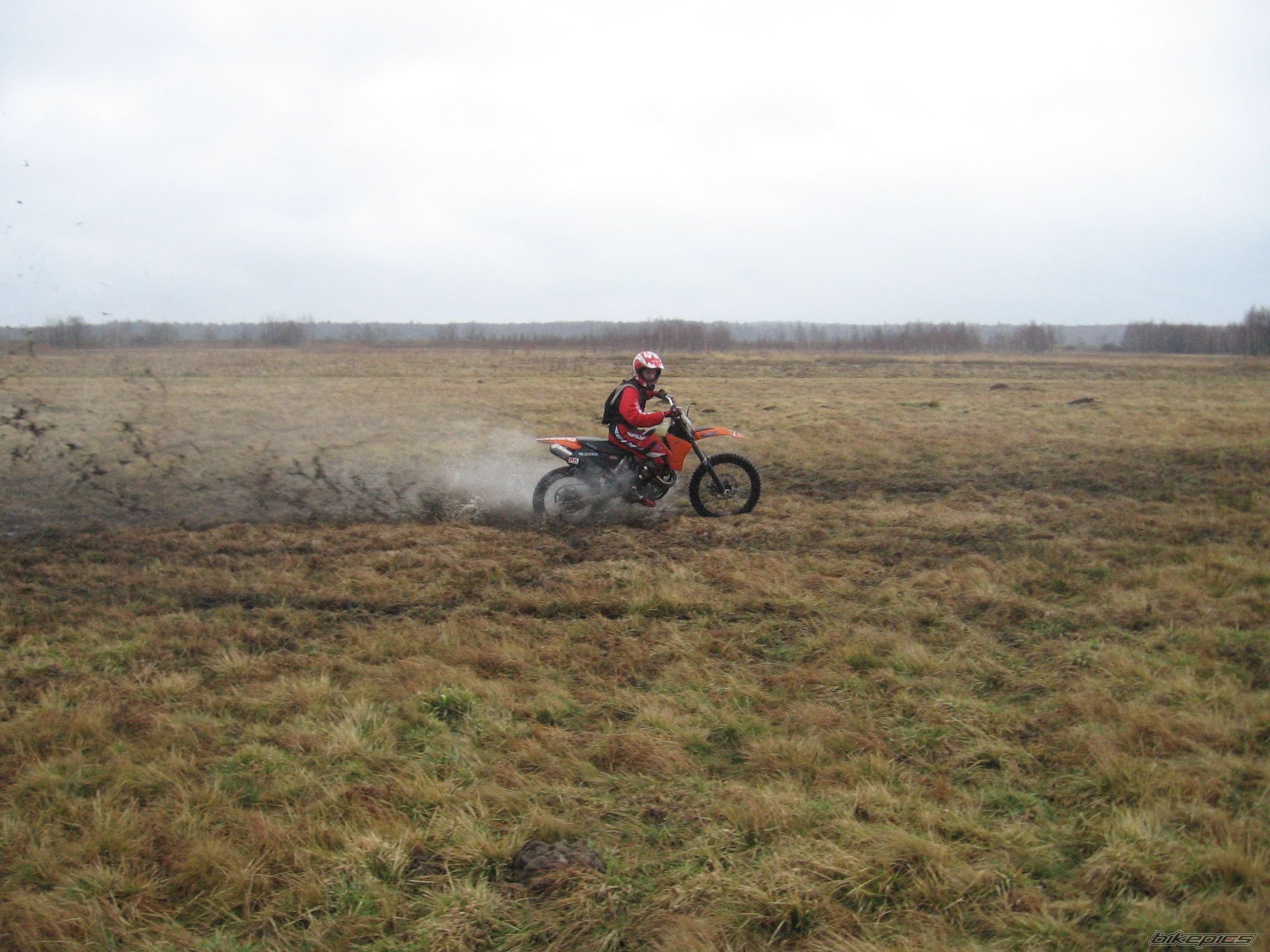 Photo 1202636