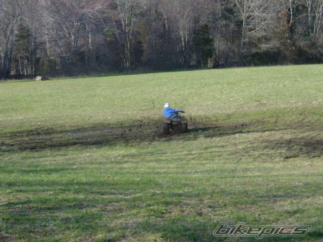 Photo 120266