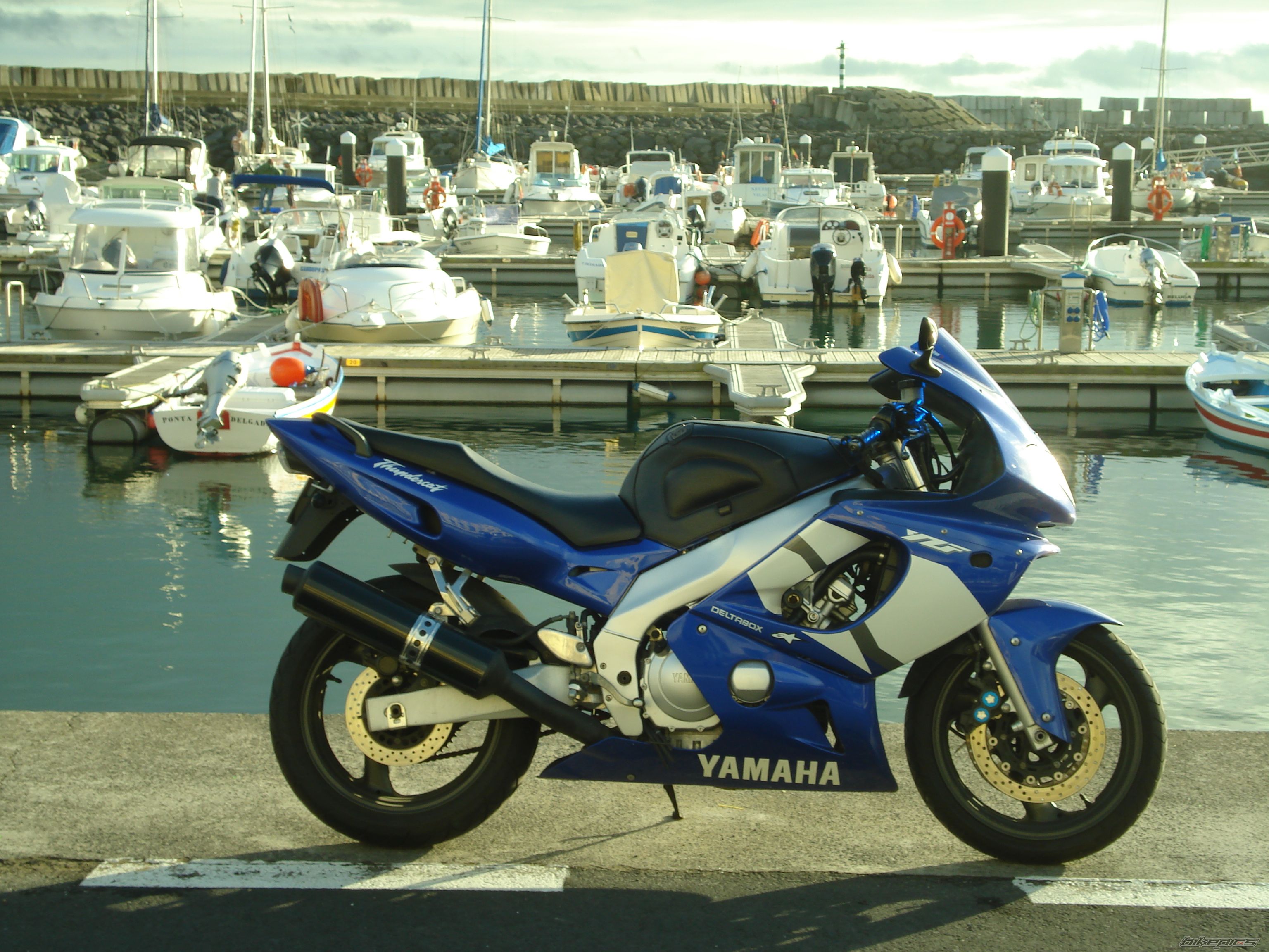 Photo 1202783
