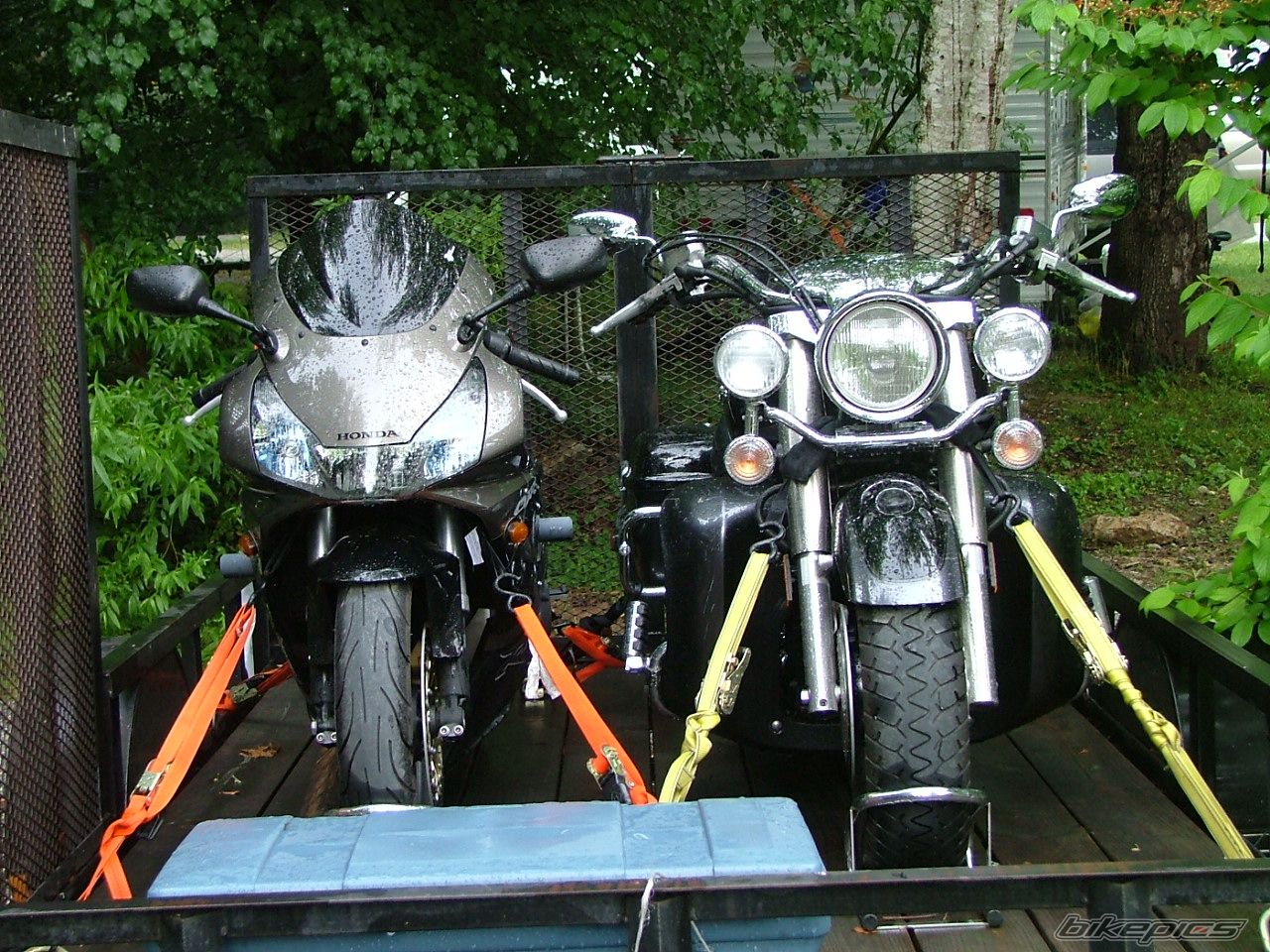 Photo 1202843