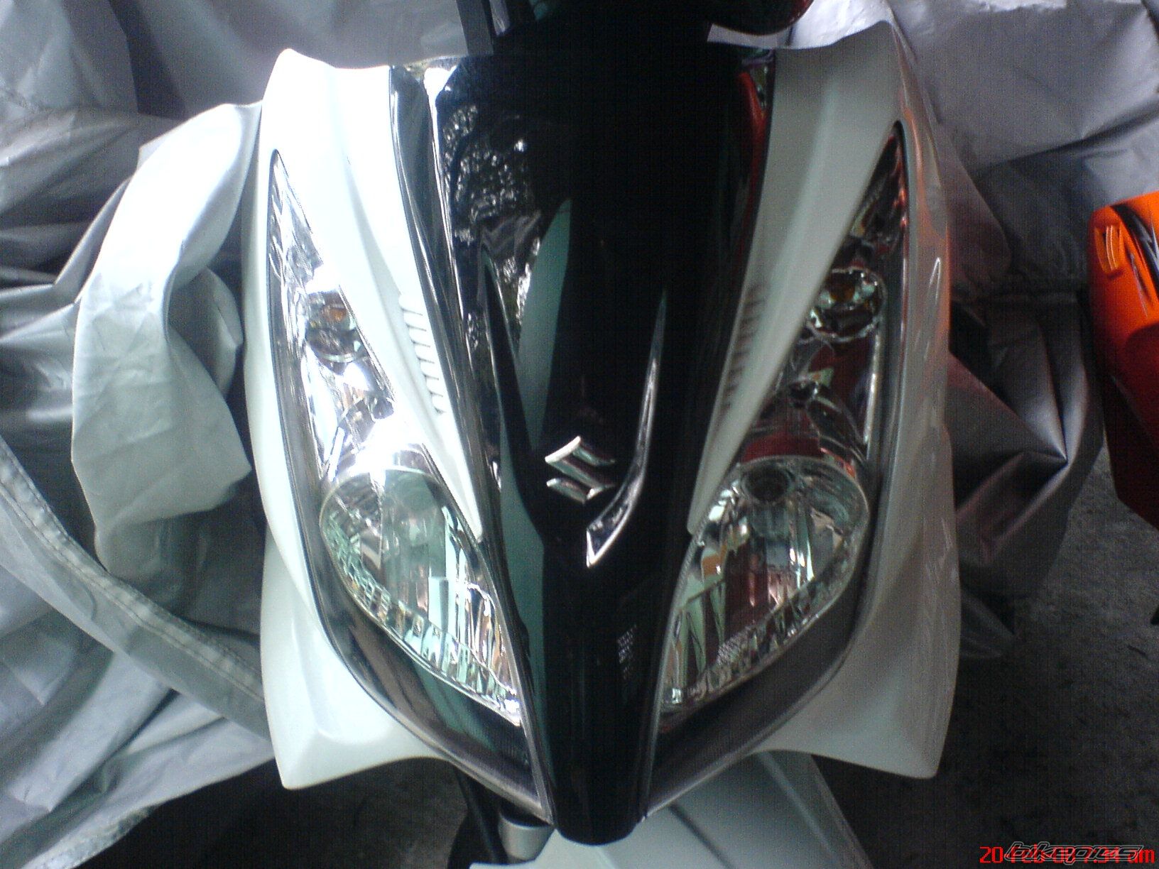 Photo 1202848