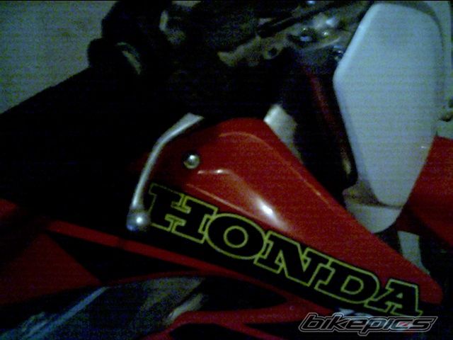 Photo 1202890