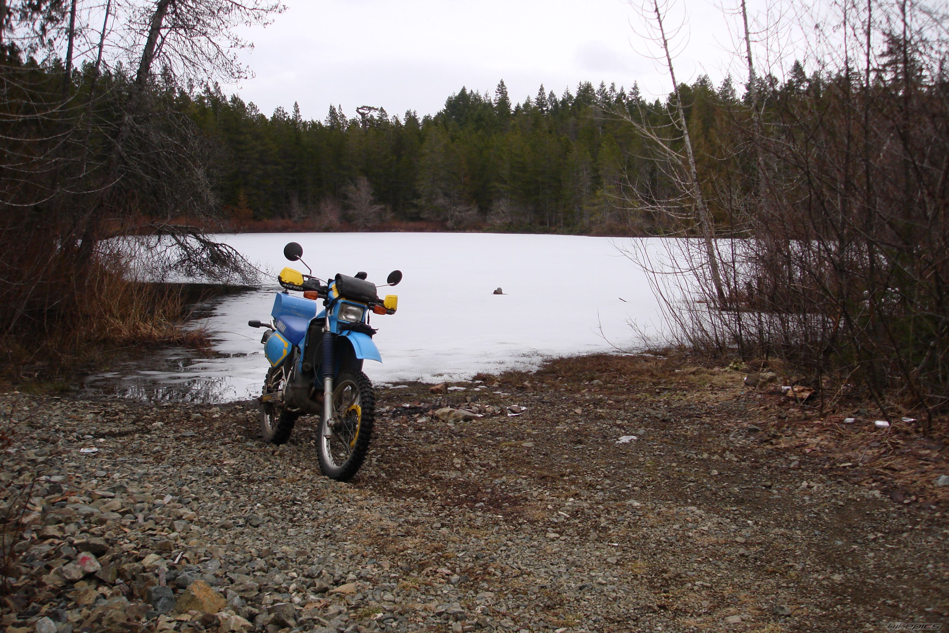 Photo 1202978